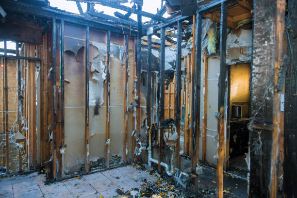 Professional Smoke Damage Removal technician working in Dayton, WA